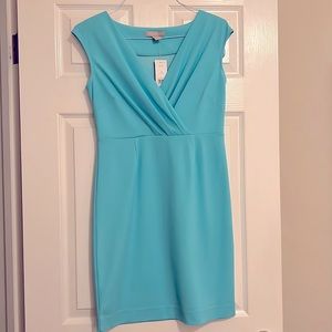 New With Tags Banana Republic dress in small petite